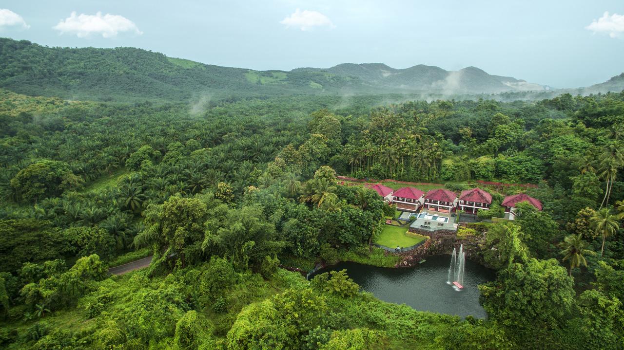 Athirapally Green Trees Athirapalli Kültér fotó